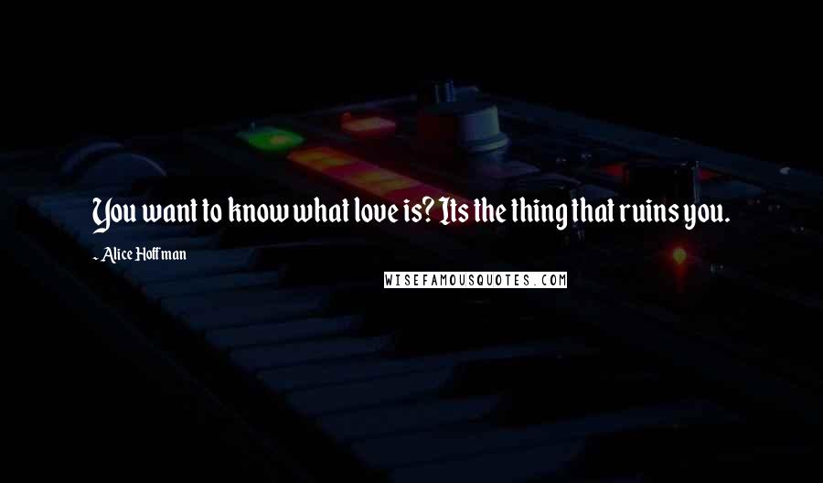 Alice Hoffman Quotes: You want to know what love is? Its the thing that ruins you.