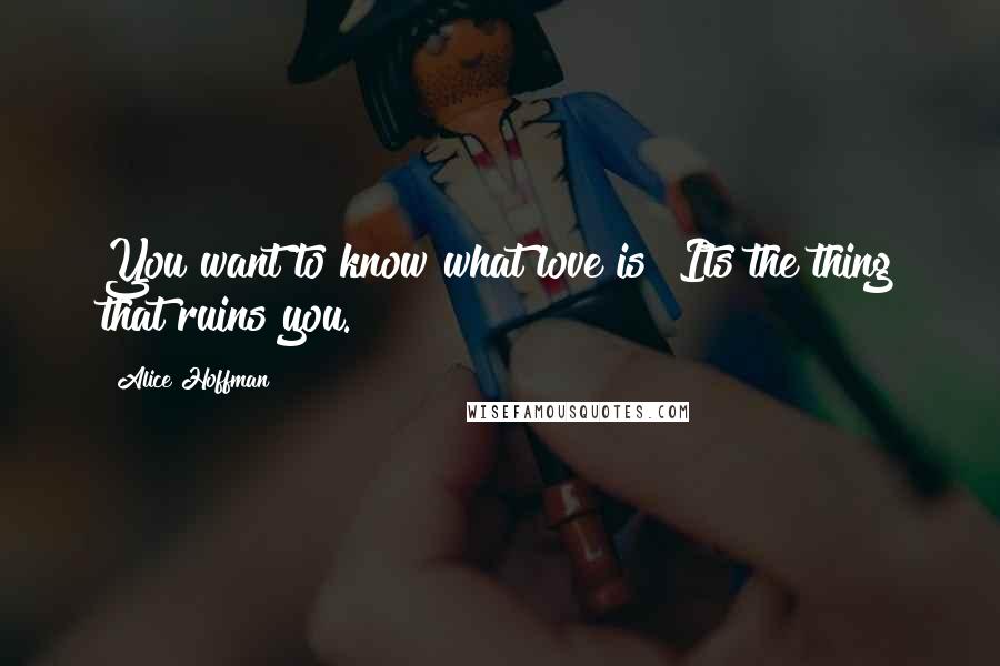 Alice Hoffman Quotes: You want to know what love is? Its the thing that ruins you.