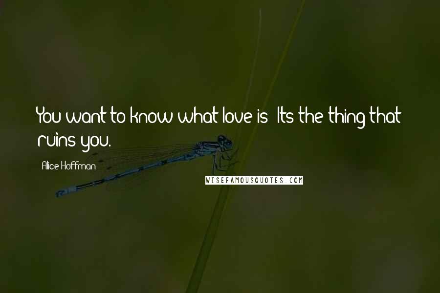 Alice Hoffman Quotes: You want to know what love is? Its the thing that ruins you.