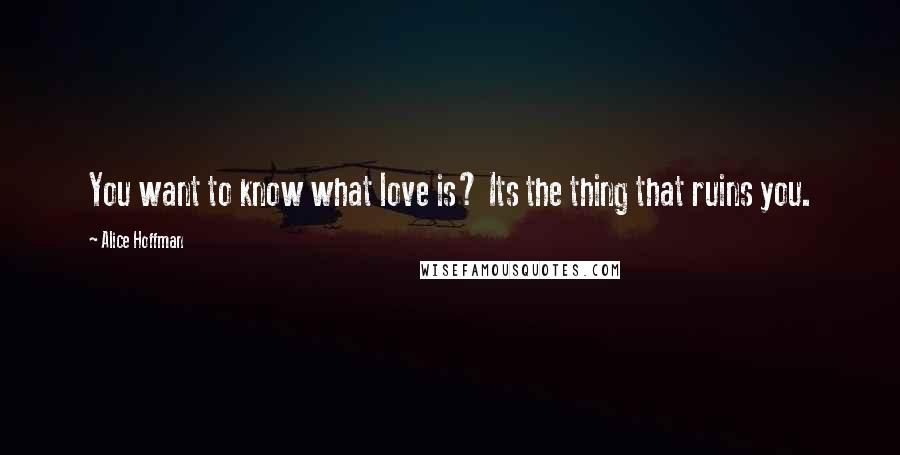 Alice Hoffman Quotes: You want to know what love is? Its the thing that ruins you.