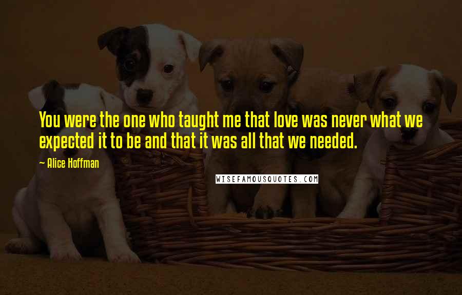 Alice Hoffman Quotes: You were the one who taught me that love was never what we expected it to be and that it was all that we needed.