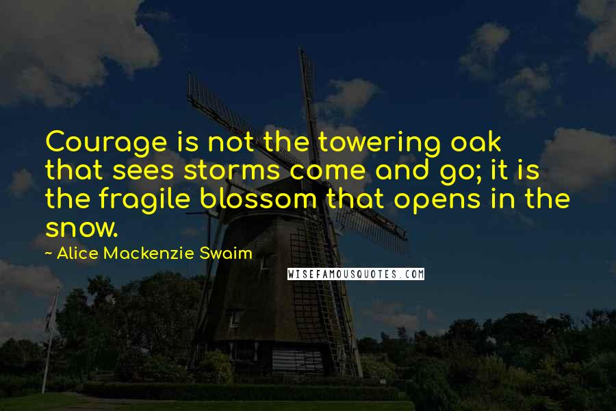 Alice Mackenzie Swaim Quotes: Courage is not the towering oak that sees storms come and go; it is the fragile blossom that opens in the snow.