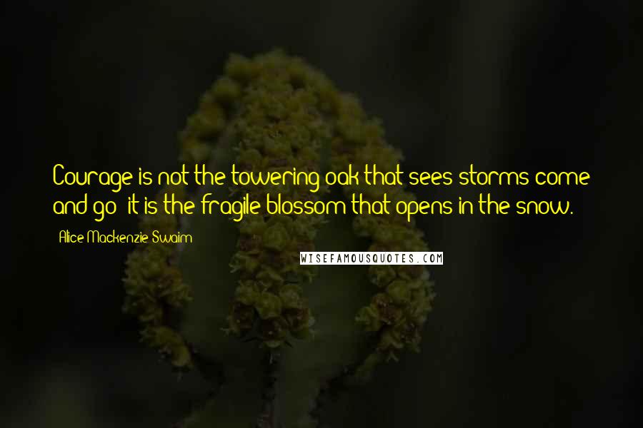 Alice Mackenzie Swaim Quotes: Courage is not the towering oak that sees storms come and go; it is the fragile blossom that opens in the snow.