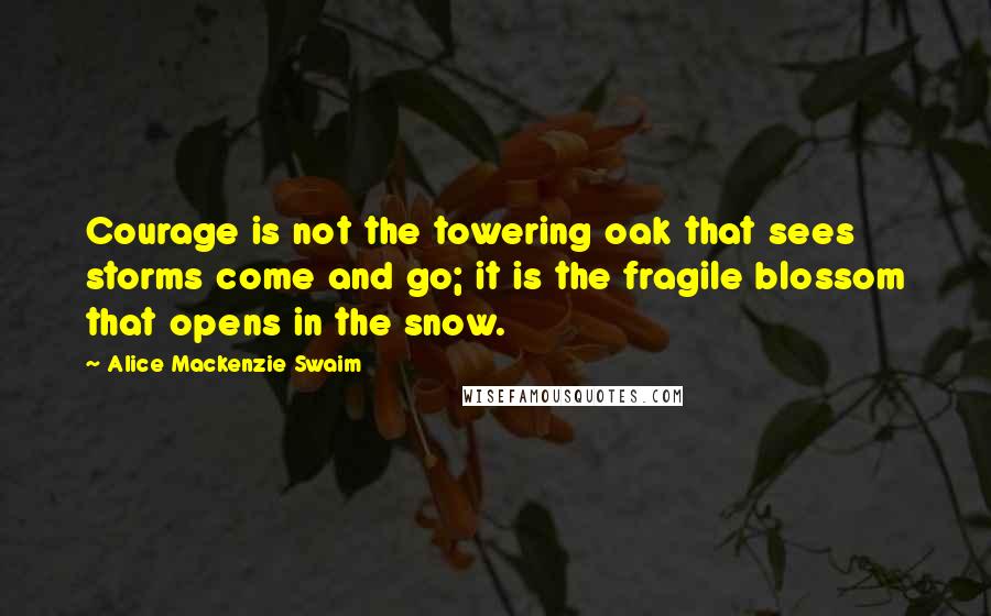 Alice Mackenzie Swaim Quotes: Courage is not the towering oak that sees storms come and go; it is the fragile blossom that opens in the snow.