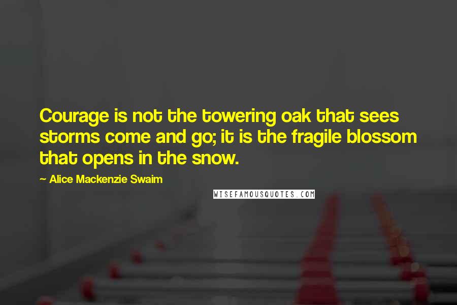 Alice Mackenzie Swaim Quotes: Courage is not the towering oak that sees storms come and go; it is the fragile blossom that opens in the snow.