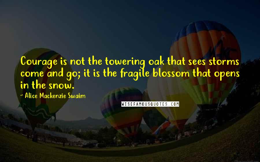 Alice Mackenzie Swaim Quotes: Courage is not the towering oak that sees storms come and go; it is the fragile blossom that opens in the snow.