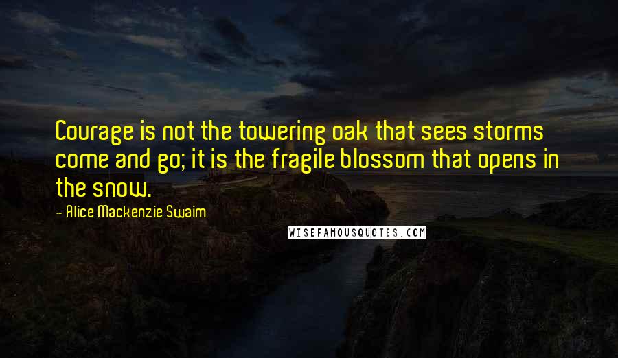 Alice Mackenzie Swaim Quotes: Courage is not the towering oak that sees storms come and go; it is the fragile blossom that opens in the snow.