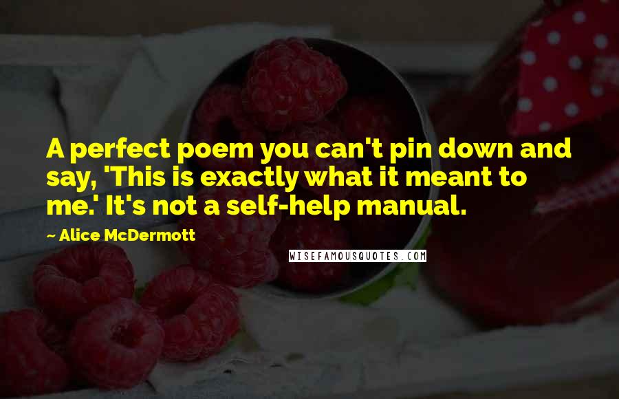 Alice McDermott Quotes: A perfect poem you can't pin down and say, 'This is exactly what it meant to me.' It's not a self-help manual.