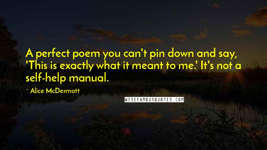 Alice McDermott Quotes: A perfect poem you can't pin down and say, 'This is exactly what it meant to me.' It's not a self-help manual.