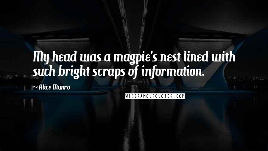 Alice Munro Quotes: My head was a magpie's nest lined with such bright scraps of information.