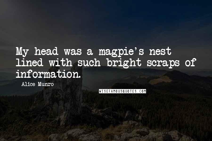 Alice Munro Quotes: My head was a magpie's nest lined with such bright scraps of information.