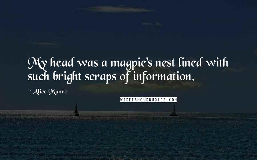 Alice Munro Quotes: My head was a magpie's nest lined with such bright scraps of information.