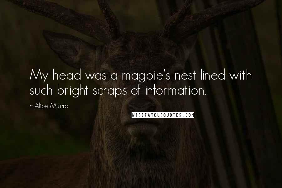 Alice Munro Quotes: My head was a magpie's nest lined with such bright scraps of information.