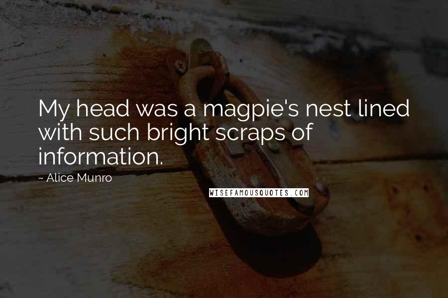 Alice Munro Quotes: My head was a magpie's nest lined with such bright scraps of information.