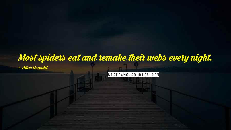 Alice Oswald Quotes: Most spiders eat and remake their webs every night.