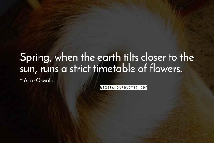 Alice Oswald Quotes: Spring, when the earth tilts closer to the sun, runs a strict timetable of flowers.