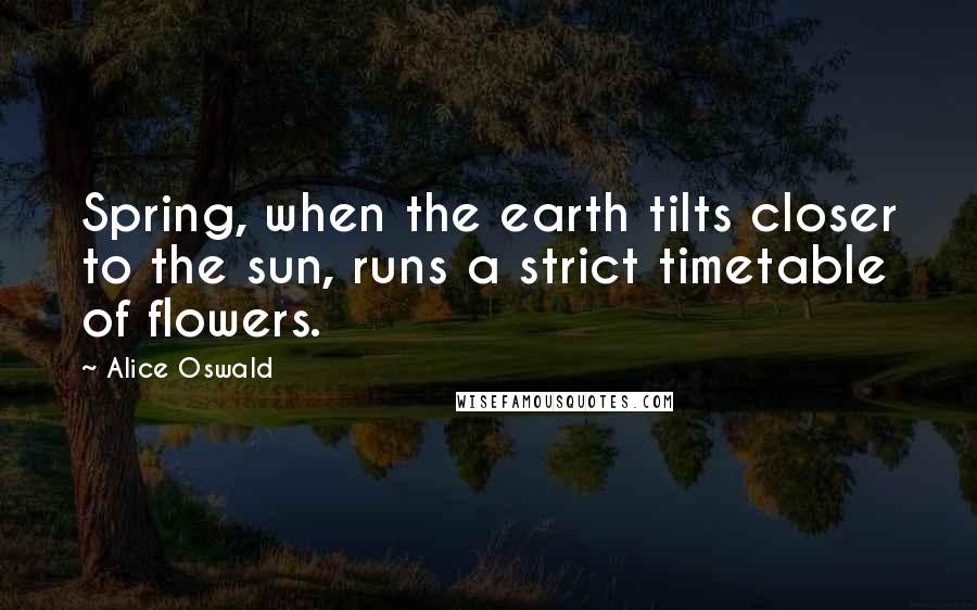 Alice Oswald Quotes: Spring, when the earth tilts closer to the sun, runs a strict timetable of flowers.