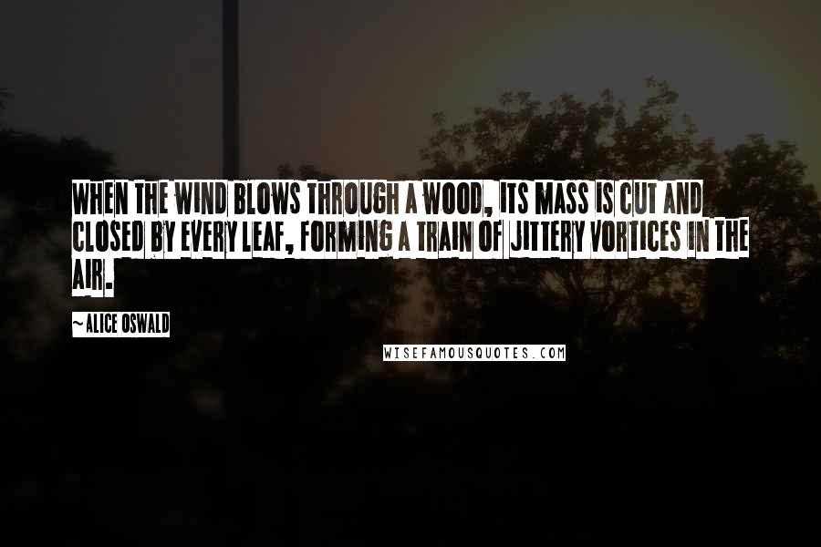 Alice Oswald Quotes: When the wind blows through a wood, its mass is cut and closed by every leaf, forming a train of jittery vortices in the air.