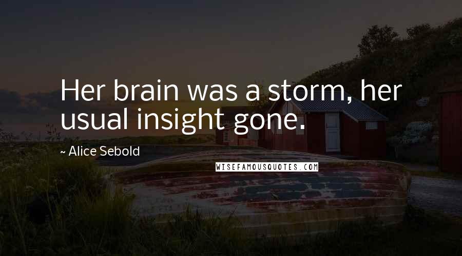 Alice Sebold Quotes: Her brain was a storm, her usual insight gone.