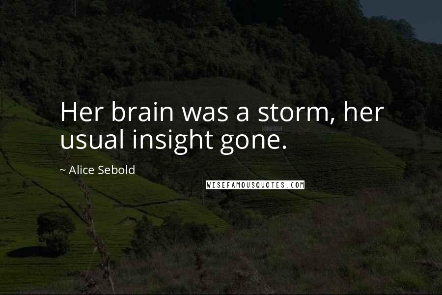 Alice Sebold Quotes: Her brain was a storm, her usual insight gone.