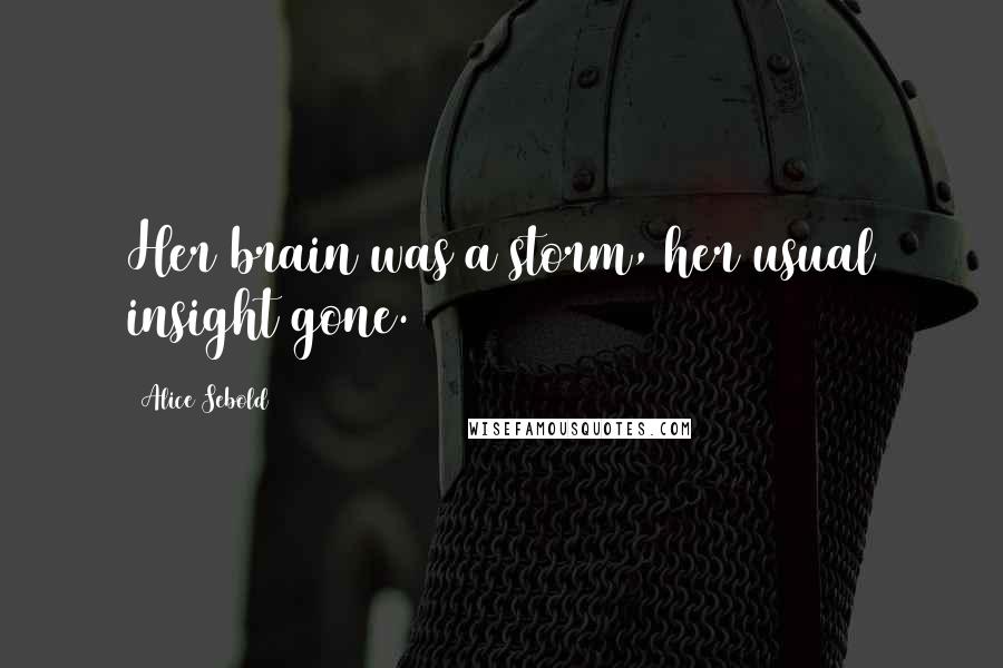 Alice Sebold Quotes: Her brain was a storm, her usual insight gone.