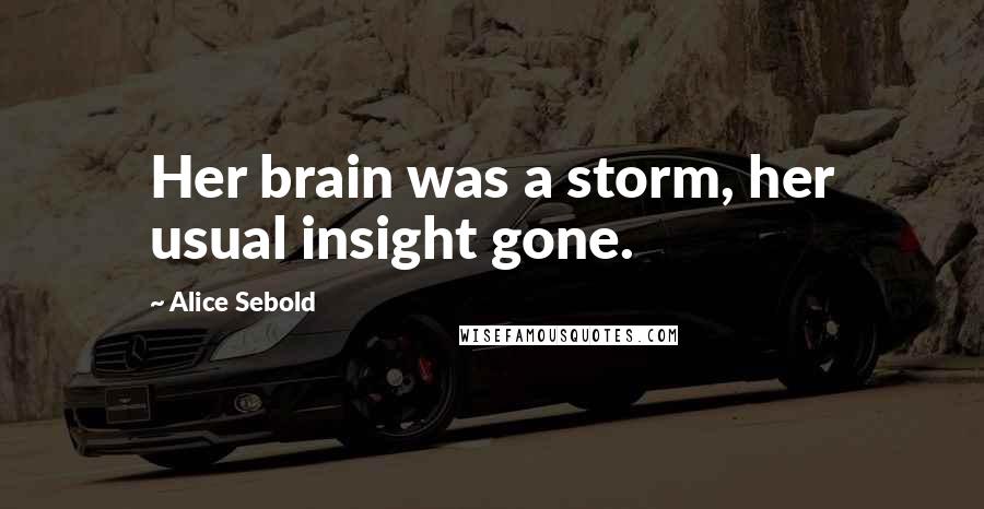 Alice Sebold Quotes: Her brain was a storm, her usual insight gone.