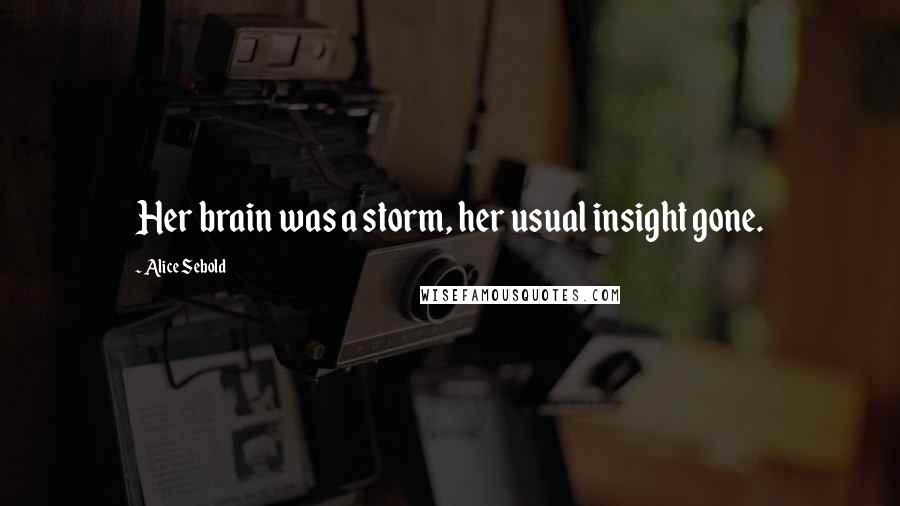 Alice Sebold Quotes: Her brain was a storm, her usual insight gone.