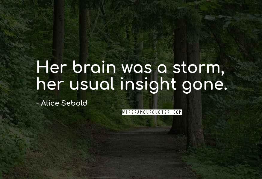 Alice Sebold Quotes: Her brain was a storm, her usual insight gone.