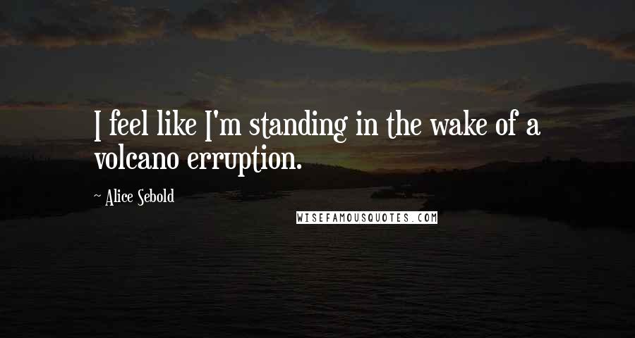 Alice Sebold Quotes: I feel like I'm standing in the wake of a volcano erruption.