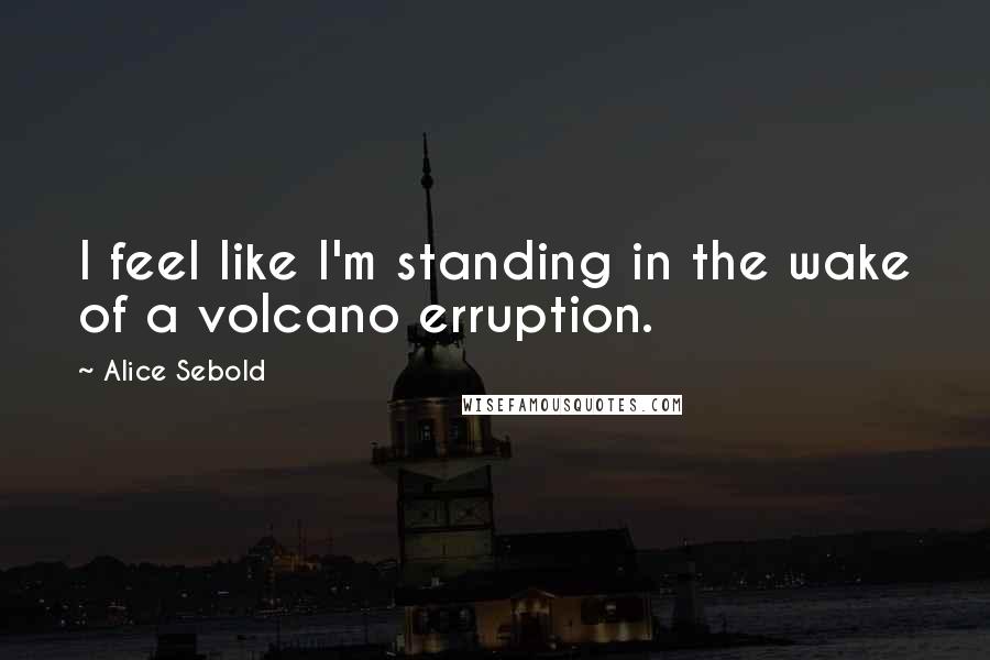 Alice Sebold Quotes: I feel like I'm standing in the wake of a volcano erruption.