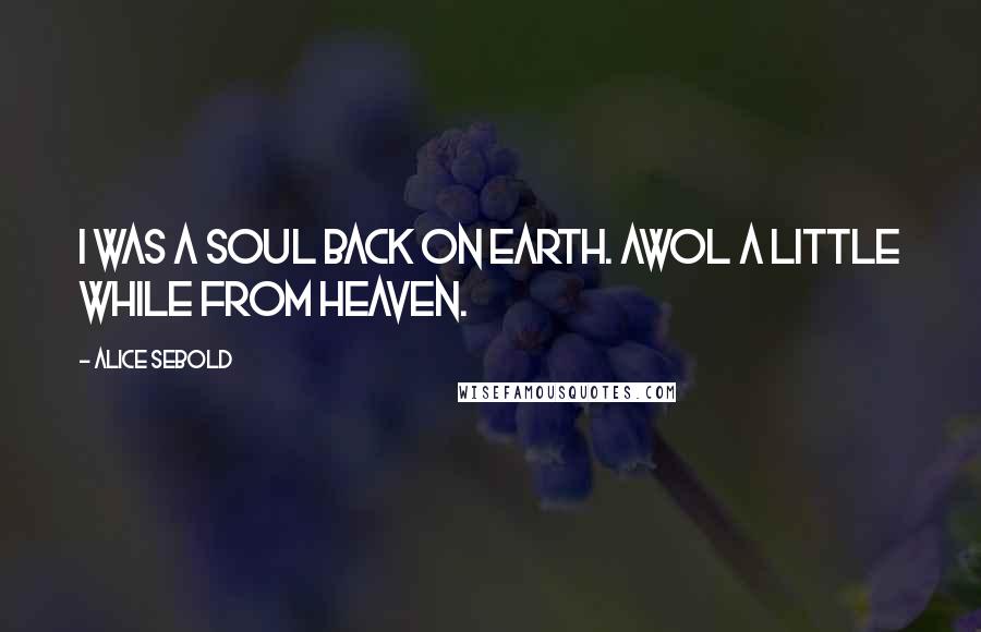 Alice Sebold Quotes: I was a soul back on Earth. AWOL a little while from heaven.