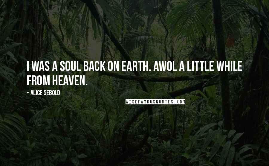 Alice Sebold Quotes: I was a soul back on Earth. AWOL a little while from heaven.