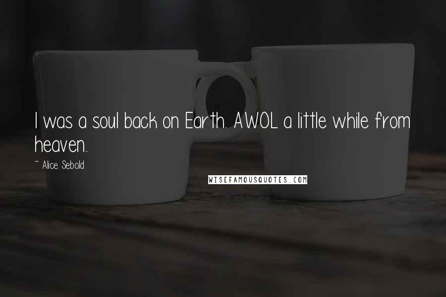 Alice Sebold Quotes: I was a soul back on Earth. AWOL a little while from heaven.