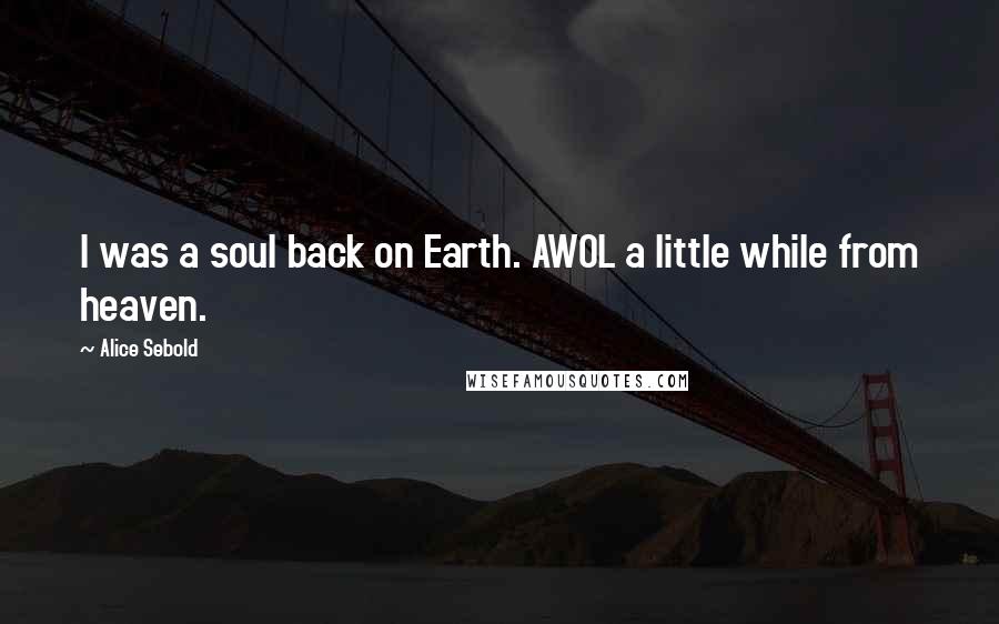 Alice Sebold Quotes: I was a soul back on Earth. AWOL a little while from heaven.