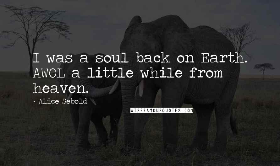 Alice Sebold Quotes: I was a soul back on Earth. AWOL a little while from heaven.