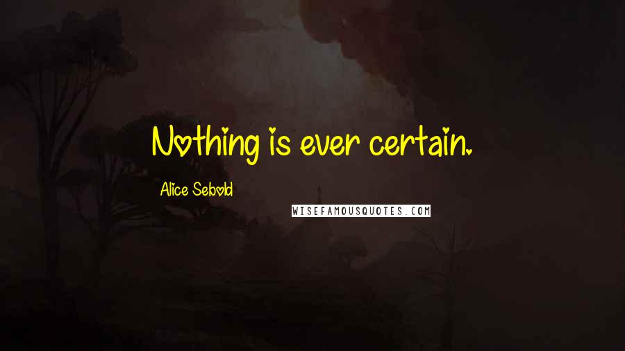 Alice Sebold Quotes: Nothing is ever certain.