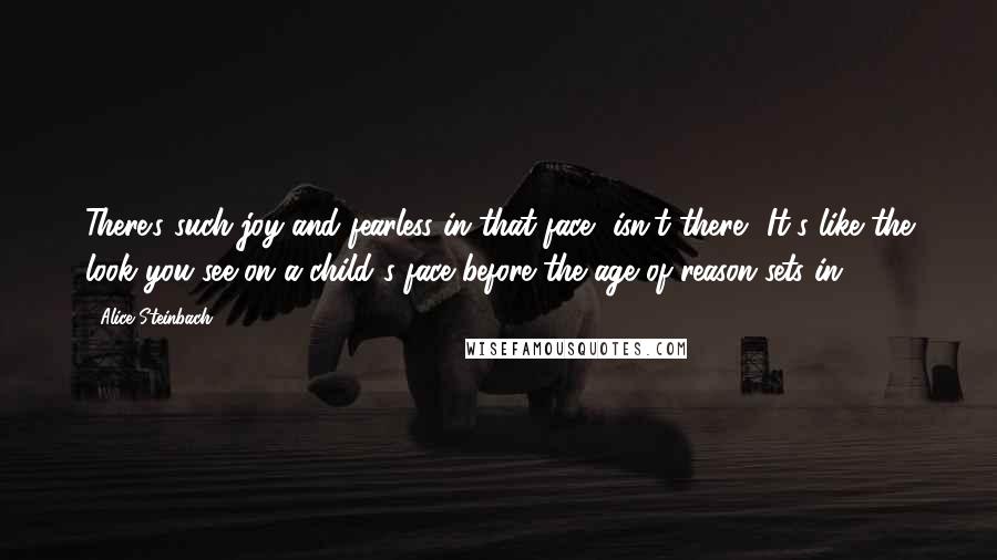 Alice Steinbach Quotes: There's such joy and fearless in that face, isn't there? It's like the look you see on a child's face before the age of reason sets in.