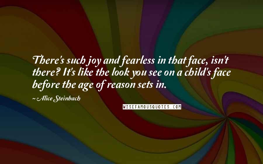 Alice Steinbach Quotes: There's such joy and fearless in that face, isn't there? It's like the look you see on a child's face before the age of reason sets in.