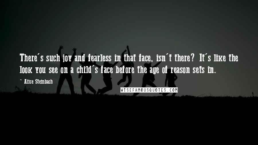 Alice Steinbach Quotes: There's such joy and fearless in that face, isn't there? It's like the look you see on a child's face before the age of reason sets in.