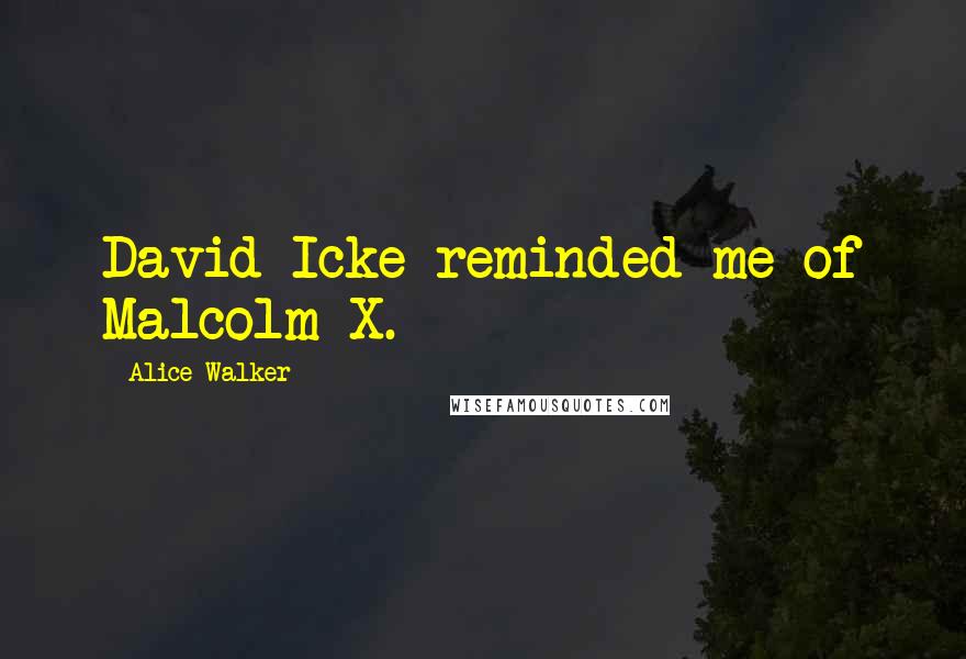 Alice Walker Quotes: David Icke reminded me of Malcolm X.