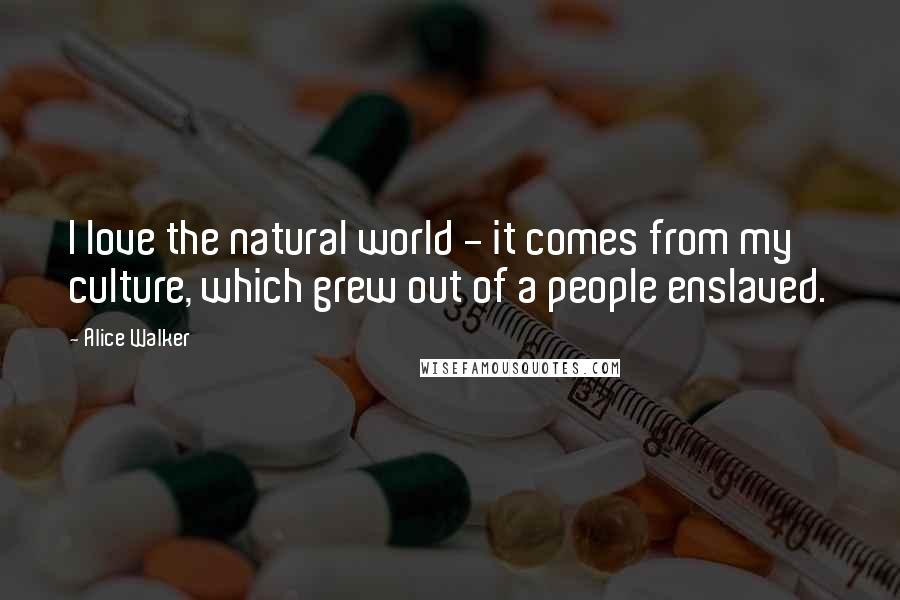 Alice Walker Quotes: I love the natural world - it comes from my culture, which grew out of a people enslaved.