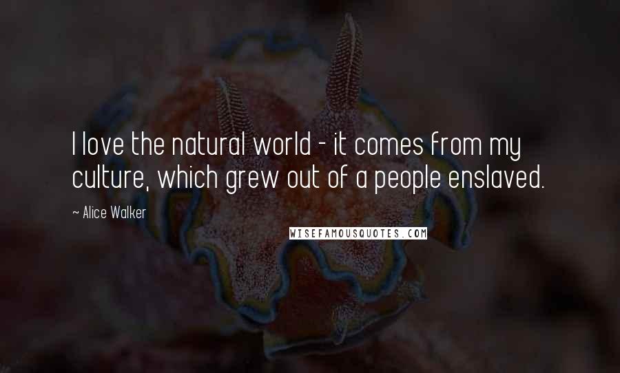 Alice Walker Quotes: I love the natural world - it comes from my culture, which grew out of a people enslaved.