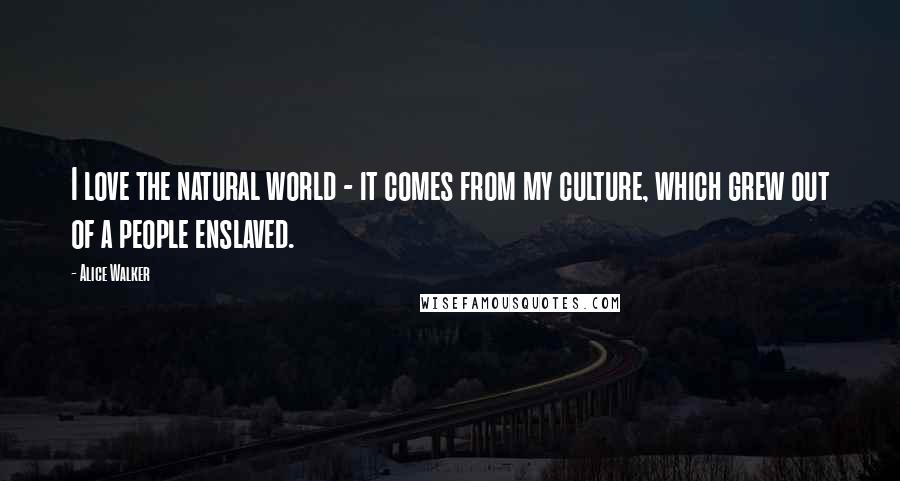Alice Walker Quotes: I love the natural world - it comes from my culture, which grew out of a people enslaved.