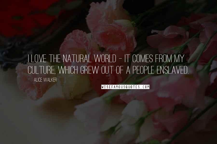 Alice Walker Quotes: I love the natural world - it comes from my culture, which grew out of a people enslaved.