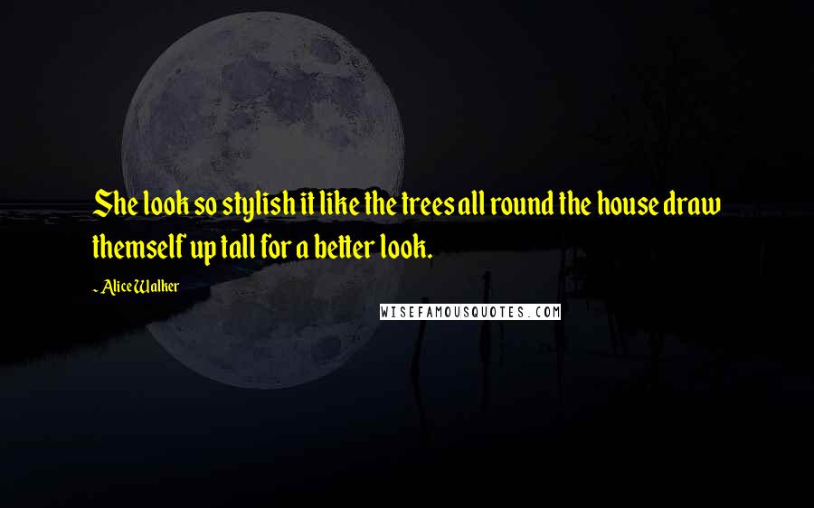 Alice Walker Quotes: She look so stylish it like the trees all round the house draw themself up tall for a better look.