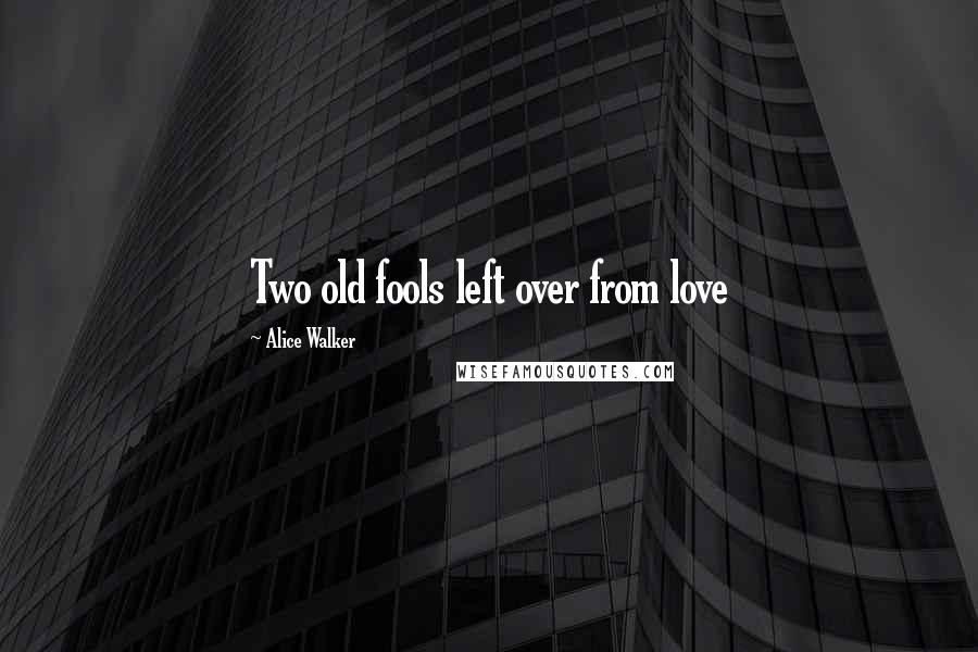 Alice Walker Quotes: Two old fools left over from love