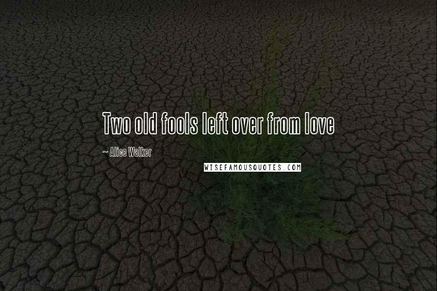 Alice Walker Quotes: Two old fools left over from love