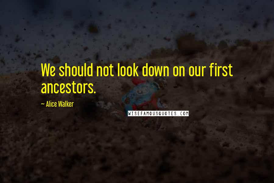 Alice Walker Quotes: We should not look down on our first ancestors.