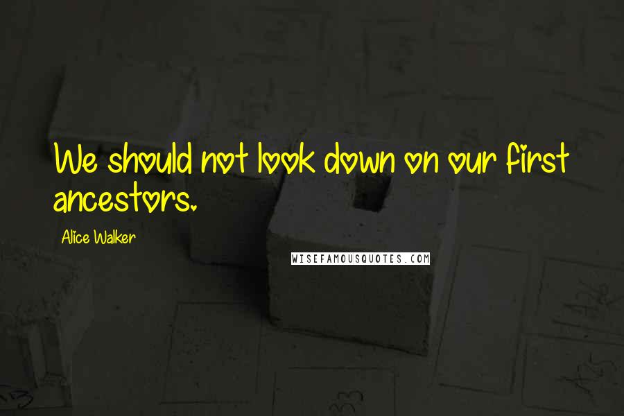 Alice Walker Quotes: We should not look down on our first ancestors.