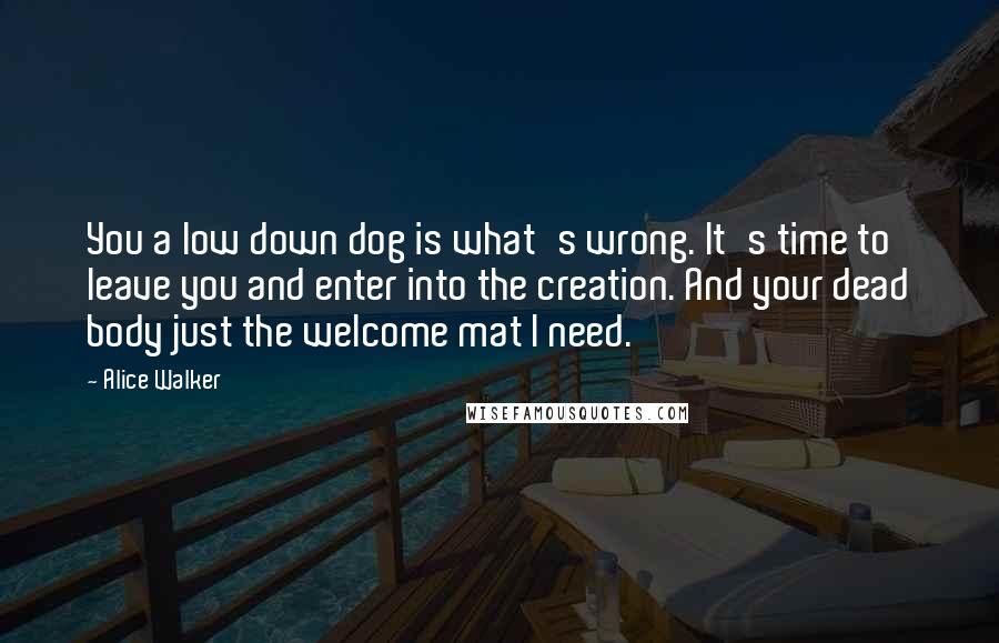 Alice Walker Quotes: You a low down dog is what's wrong. It's time to leave you and enter into the creation. And your dead body just the welcome mat I need.